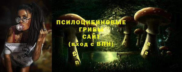 дурь Касимов