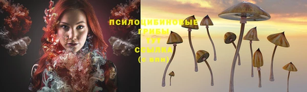 дурь Касимов