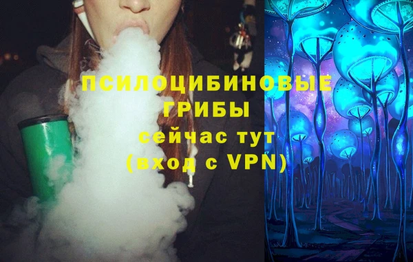 дурь Касимов