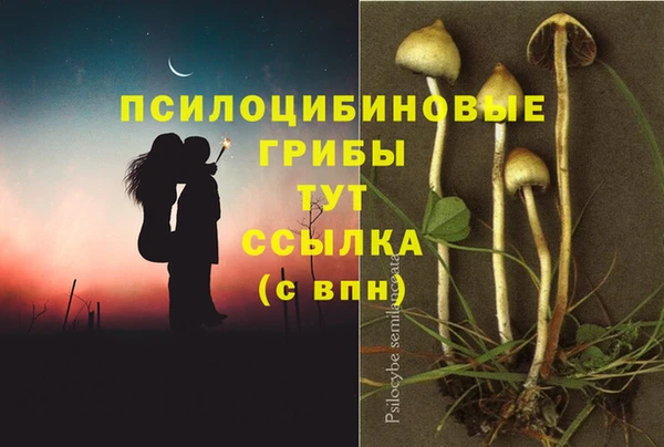 дурь Касимов