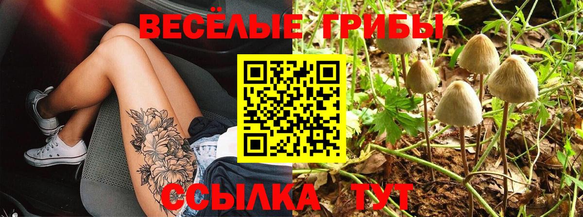 Псилоцибиновые грибы ЛСД Краснокамск